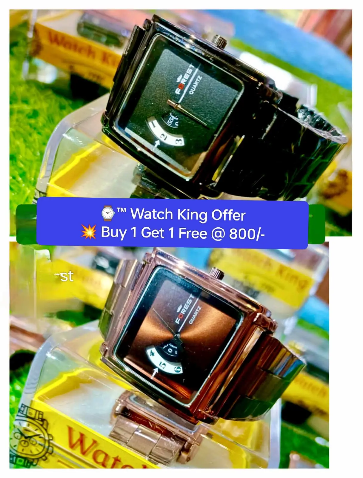 ™ Forest Watch Premium_ Buy 1 Get 1 Free - 800 Rs.
