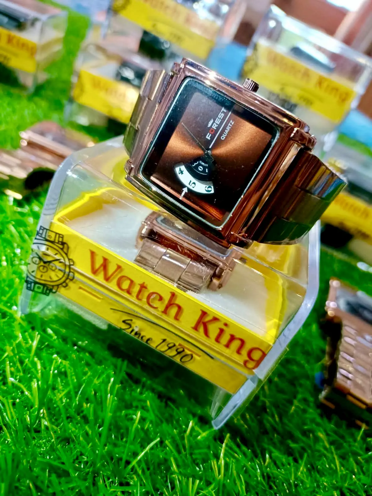 ™ Forest Watch Premium_ Buy 1 Get 1 Free - 800 Rs.